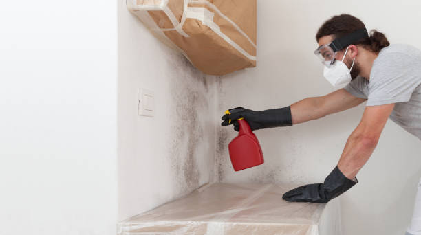 Professional Attic Mold Remediation technician working in Comstock Park, MI