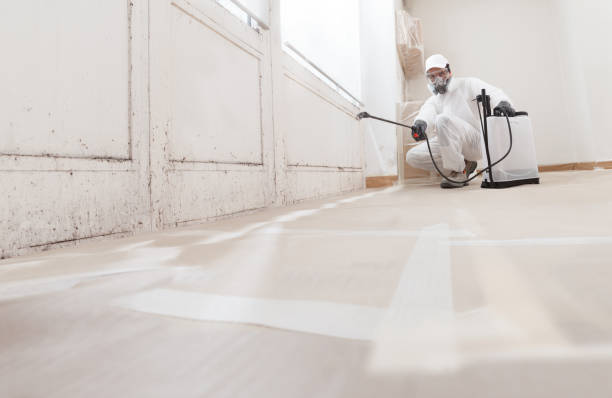 24/7 Emergency Attic Mold Remediation experts in Comstock Park, MI