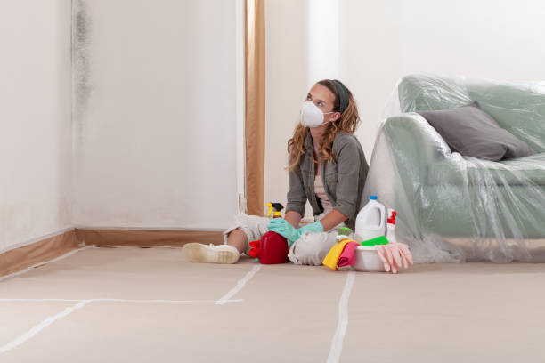 Reliable Attic Mold Remediation contractor in Comstock Park, MI by 24 Hour Mold Removal